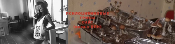 не бодяженный Баксан