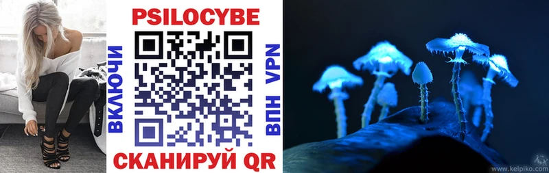 Псилоцибиновые грибы Psilocybe  цена   Кушва 
